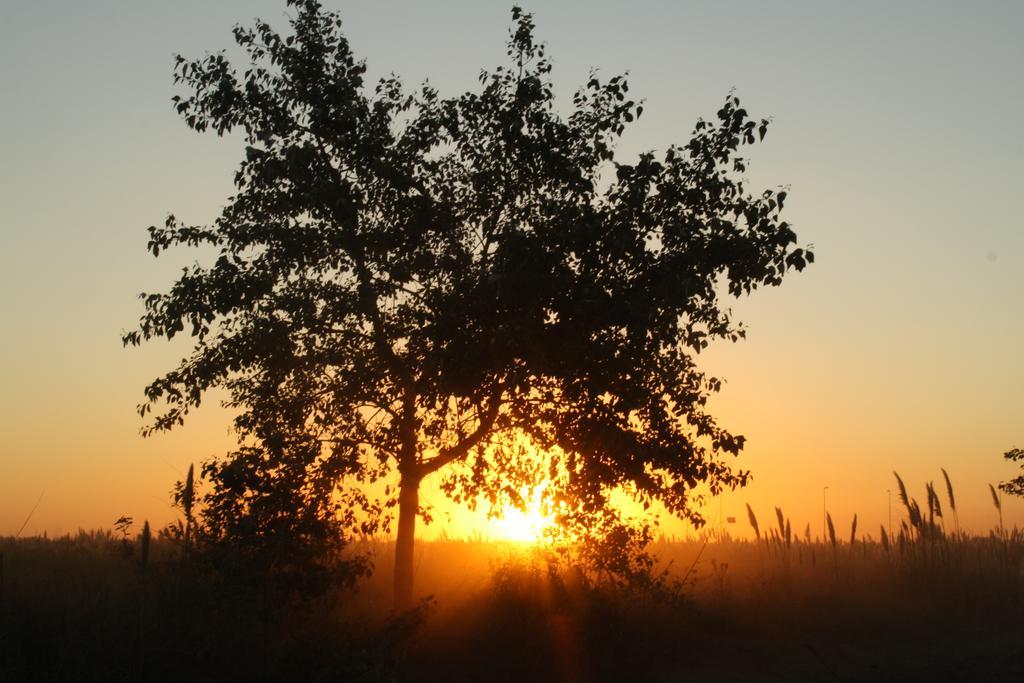 Cabanas Hurra Pampa Mar de Las Pampas Dış mekan fotoğraf